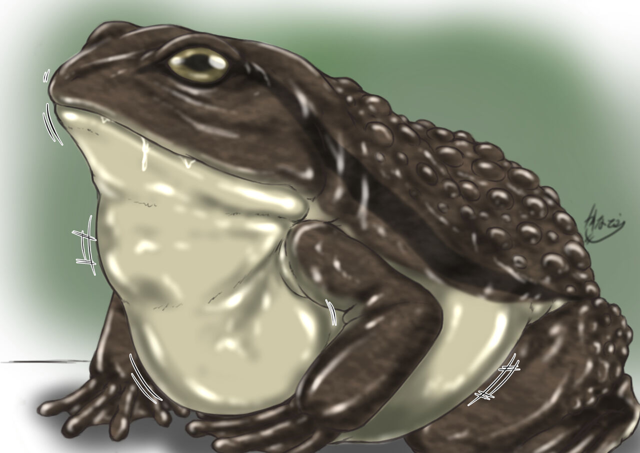 Kaeru-san no Marunomi page 2 full