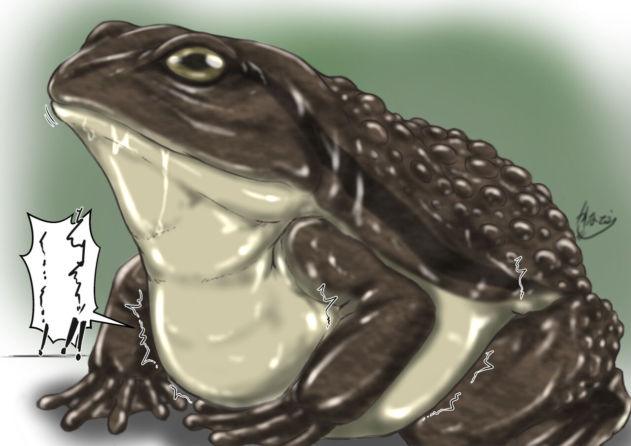 Kaeru-san no Marunomi page 3 full