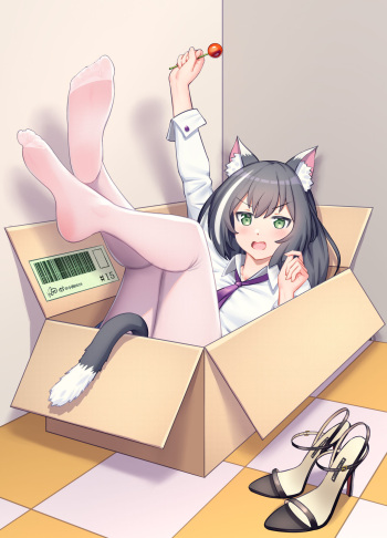 Kyaru cover