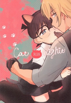 Cat night