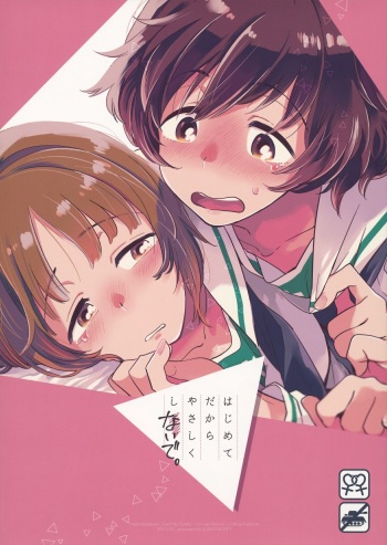 Hajimete dakara Yasashiku Shinaide. cover
