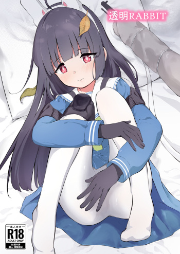 Toumei RABBIT cover