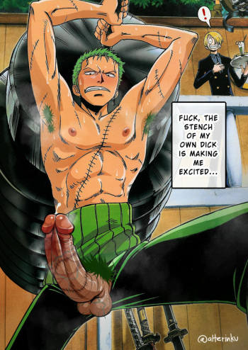 One Piece cover