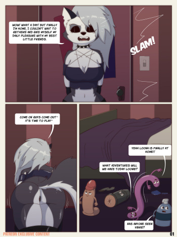 The adventures of Loona and The D's cover