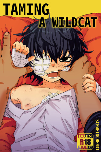 Taming A Wildcat cover