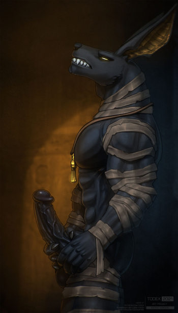 Anubis cover