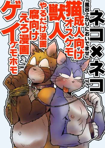 Neko x Neko | 고양이×고양이 1화 cover