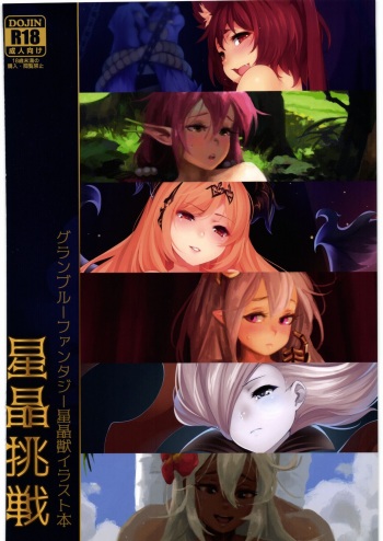 星晶挑戦 cover