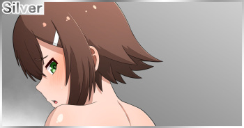 Hideyoshi no Ecchi na E cover