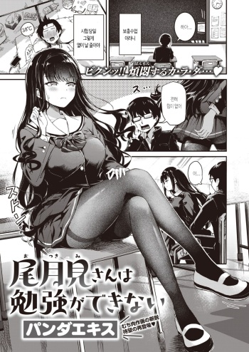 Otsukimi-san wa Benkyou ga Dekinai cover