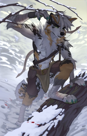 drmax FA Gallery cover