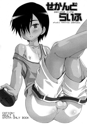 Second Life cover