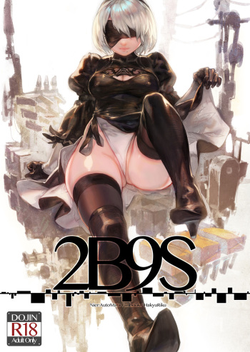 2B9S cover