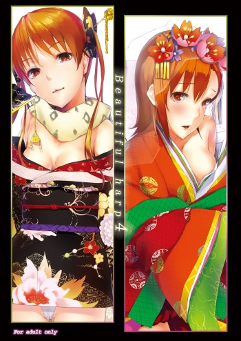 Beautiful harp 4 cover