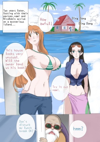 The Sexual Life Of The Turtle Hermit cover