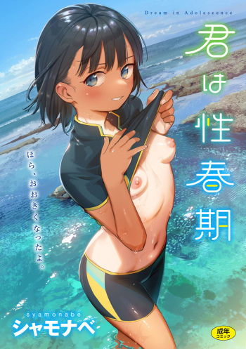 Kimi wa Seishunki - Dream in Adolescence cover