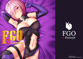 FGO Z Excerpt cover