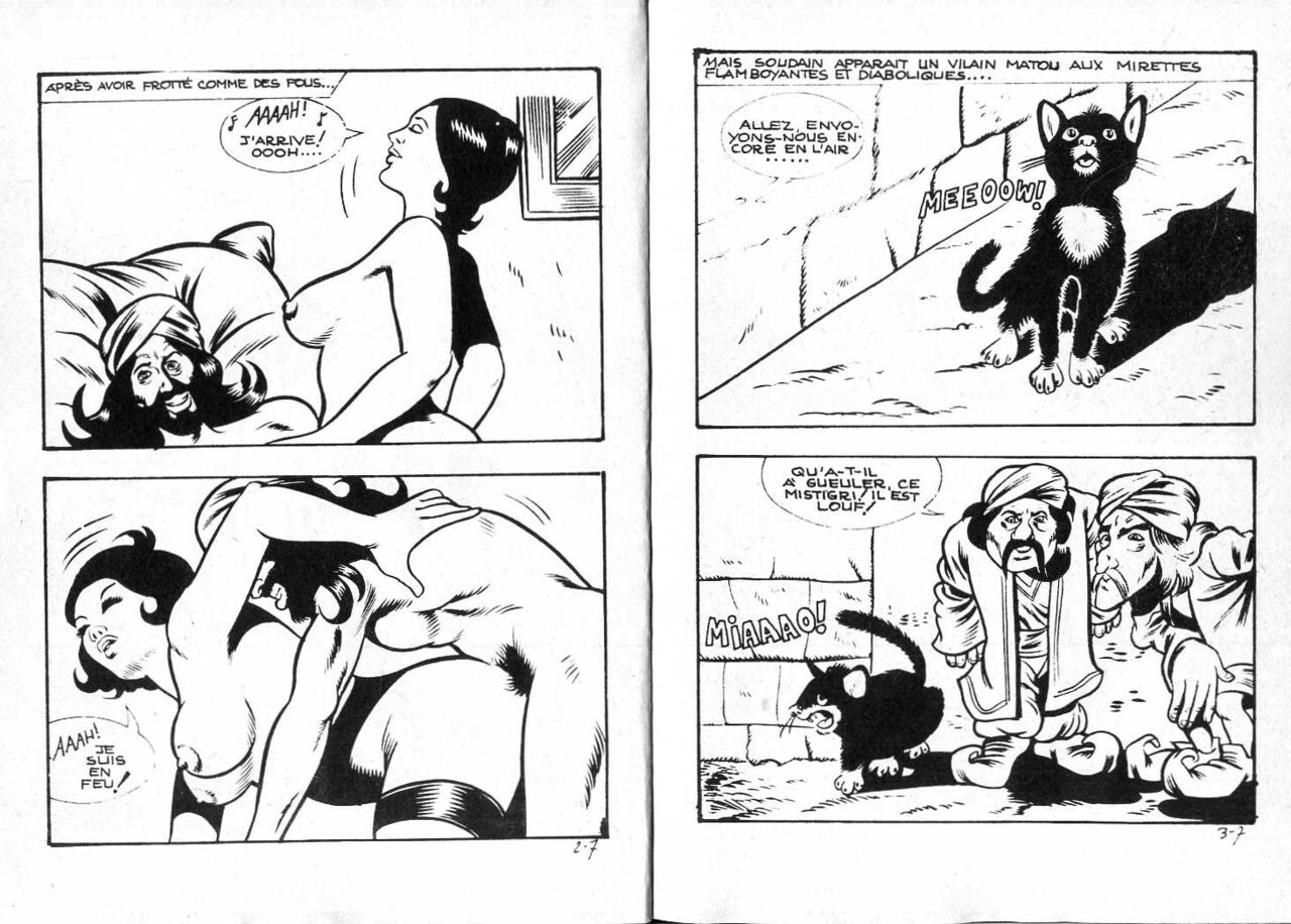 PFA - Contes et fables érotiques #3 Le pacha sauteur page 4 full