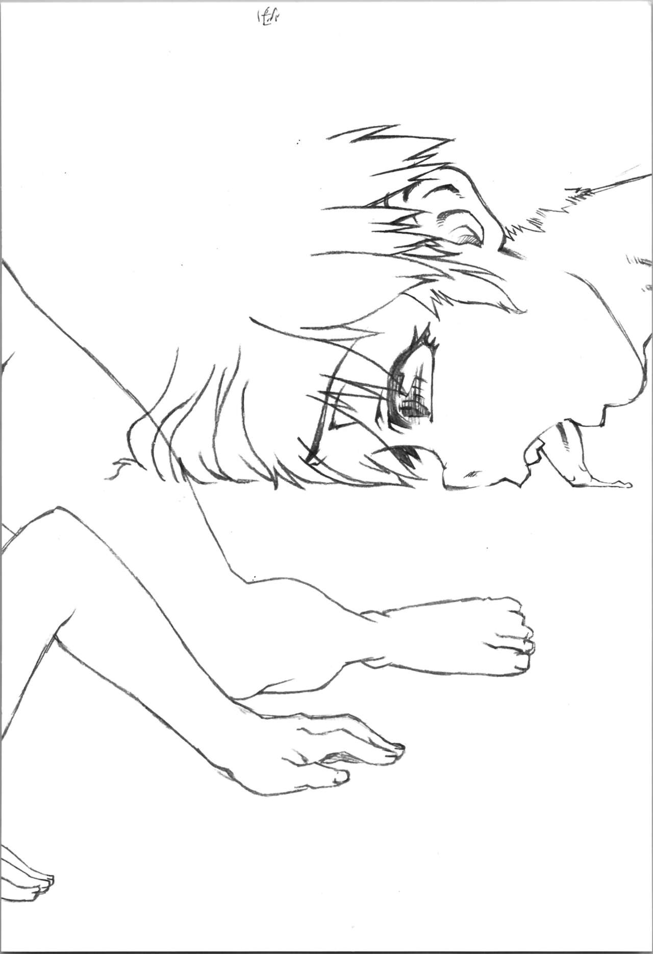 Saotome Ranma no Seitai Preview Ver2 page 5 full
