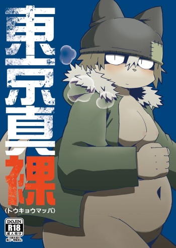 Tokyo Mappa cover