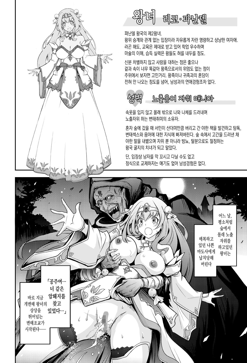 Bikou Oujo - Inshuu Dadamore Princess | 미향왕녀 - 음란향 흘러넘치는 프린세스 page 4 full