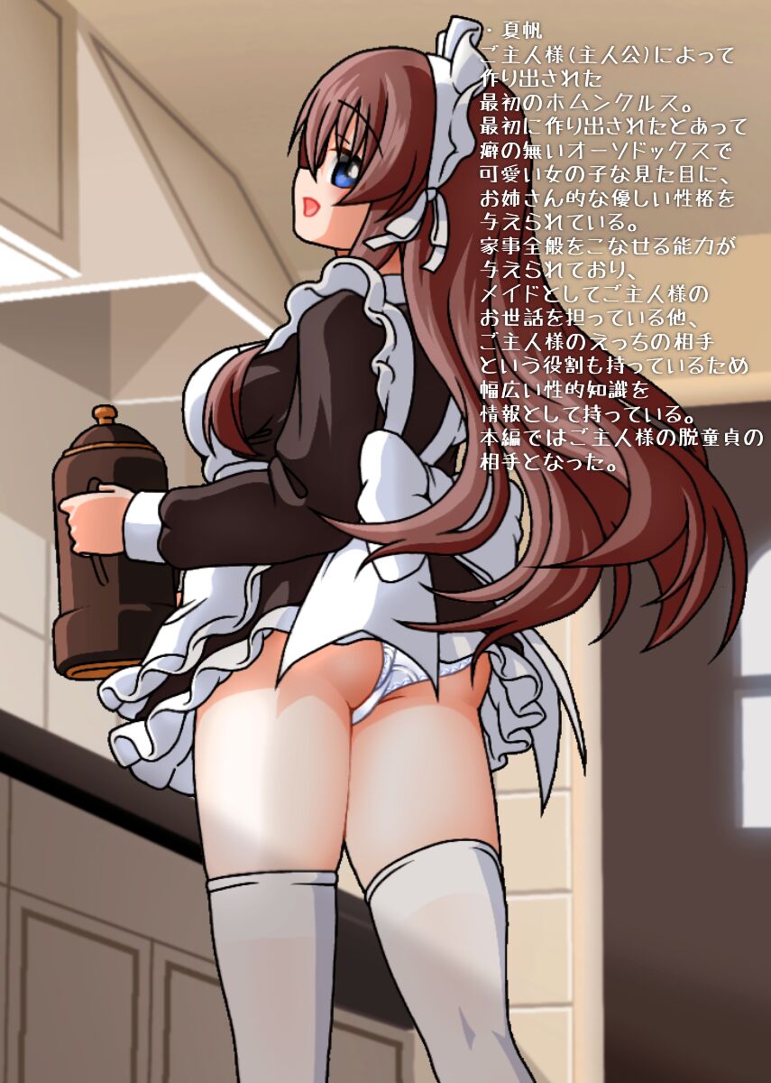Juujun Kawaii Homunculusde Nuke! Illust-shuu page 3 full
