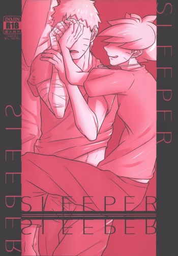 SLEEPER cover