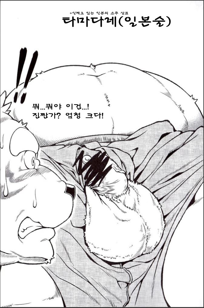 Ootora 2 |  오오토라 2 page 9 full