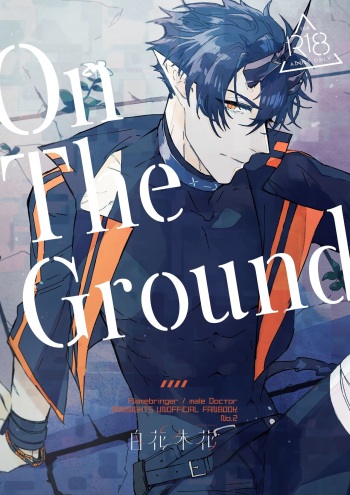 On The Ground cover