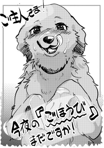 Goshujin-sama! Konya no "Gohoubi" Mada desu ka! cover