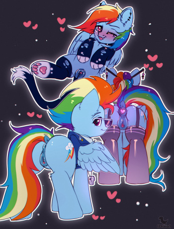 Rainbow Dash's Adventures cover