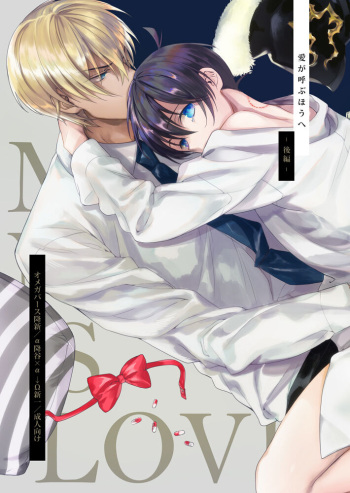 Ai ga Yobu Hou e cover