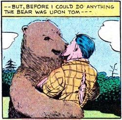 Bearly Legal