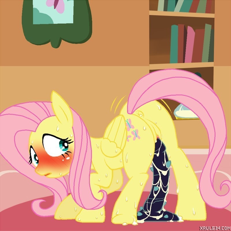 shy fluttershy page 2 full
