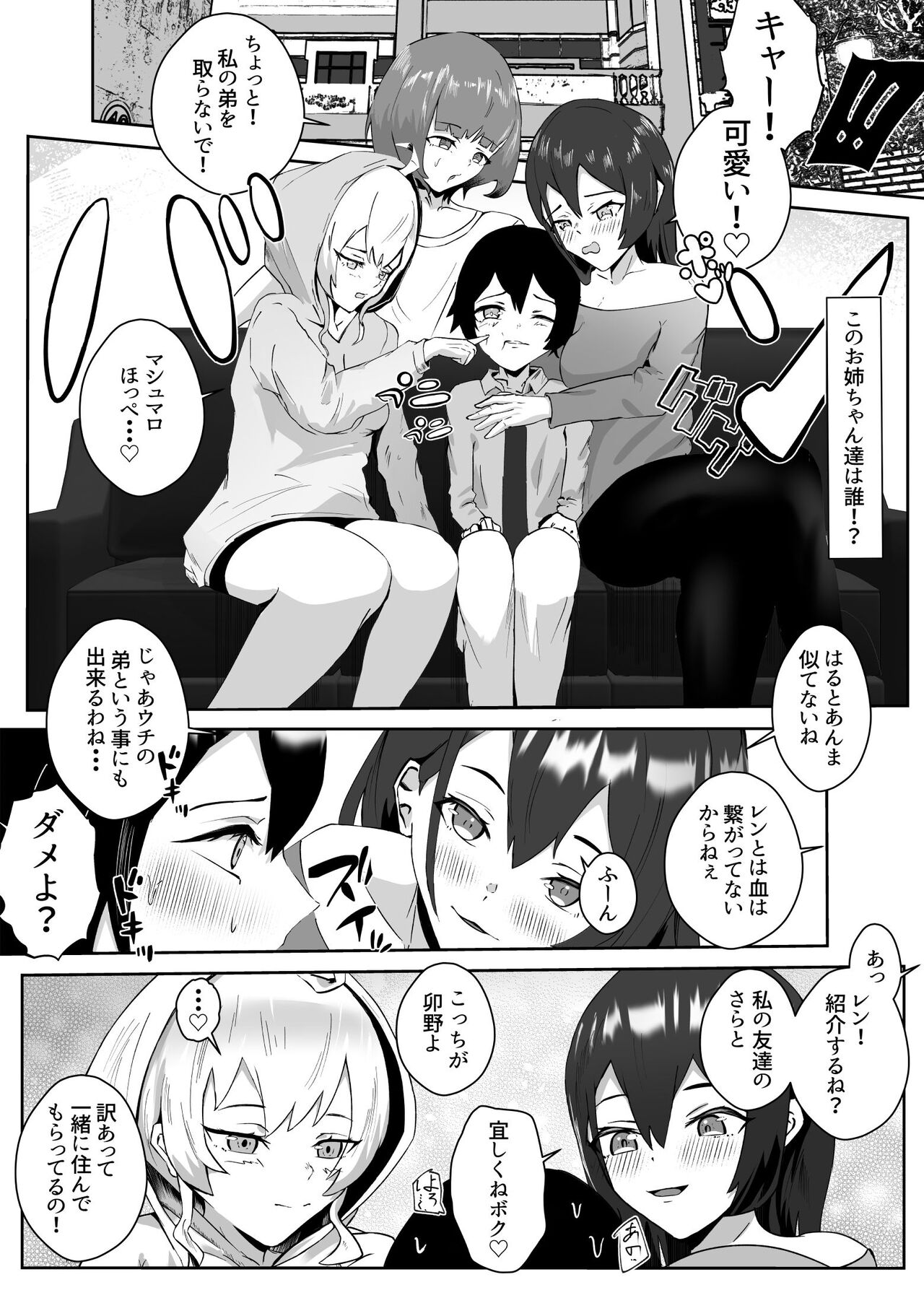 Anetaku Harem Onee-chan ni Ai ni Kita dake nanoni... page 4 full