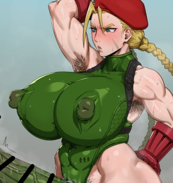  Street Fighter XXXX Fighter Cammy cover