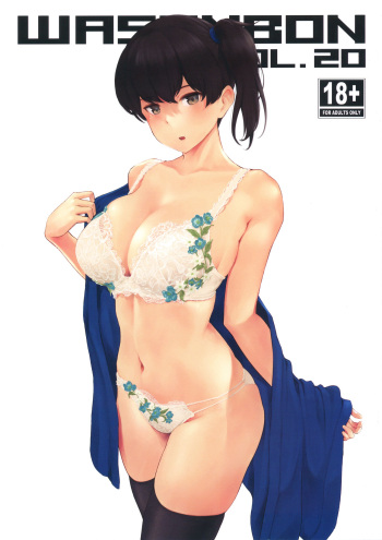 WASANBON Vol. 20 cover
