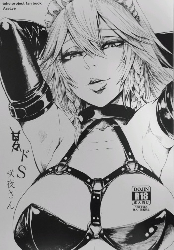 Do-S Sakuya-san cover