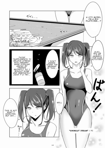Swimsuit dream cover