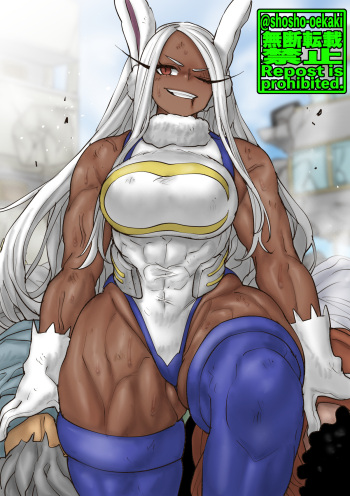 Rumi Usagiyama / Miruko cover