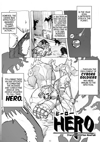 HERO cover
