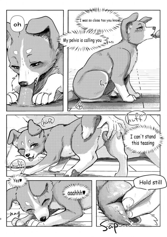 Wonderful! 0.5 page 7 full