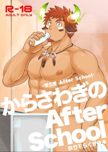 Kara Sawagi no After School | 헛소동 After School cover