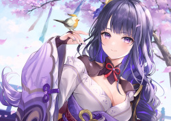 ●PIXIV● ひげ猫