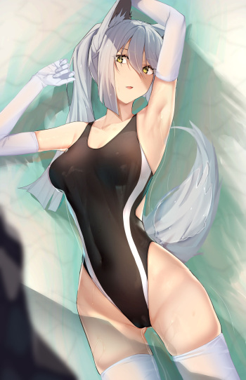 Pallad cover