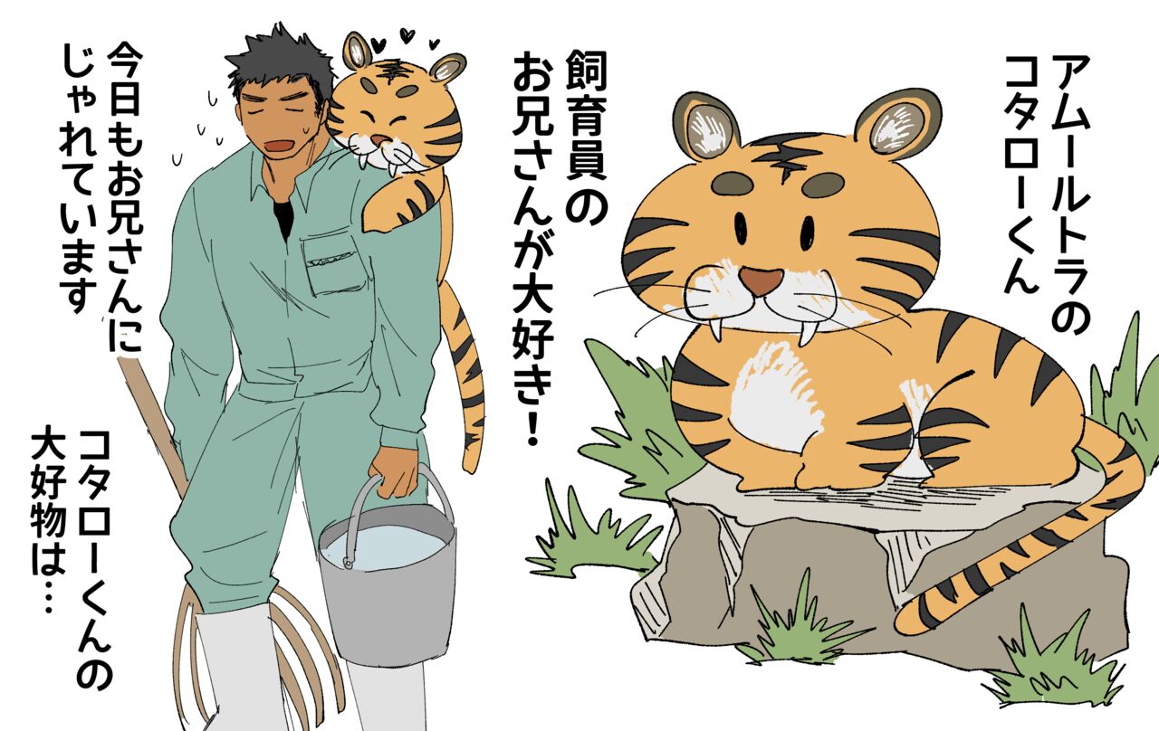 A tiger and its keeper page 6 full