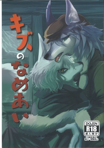 Kizu no Nameai cover