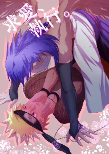 Kyuuai, Shikkou. cover
