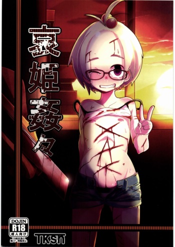 Ai Hime Kankan cover