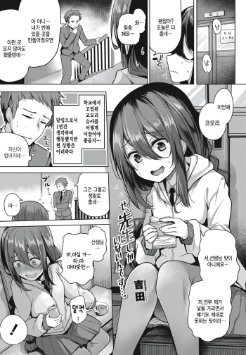 Se,sensei shika naindesu... cover